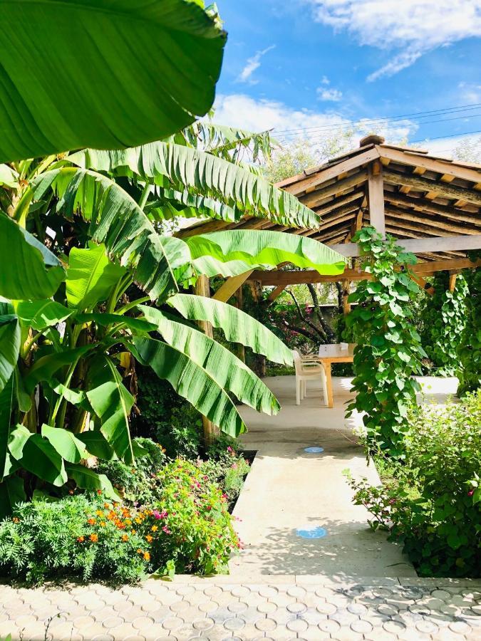 ,,Anna'S" Guesthouse K'vemo Alvani Esterno foto