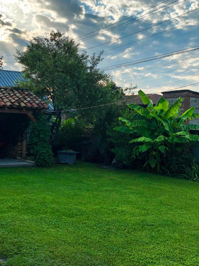 ,,Anna'S" Guesthouse K'vemo Alvani Esterno foto