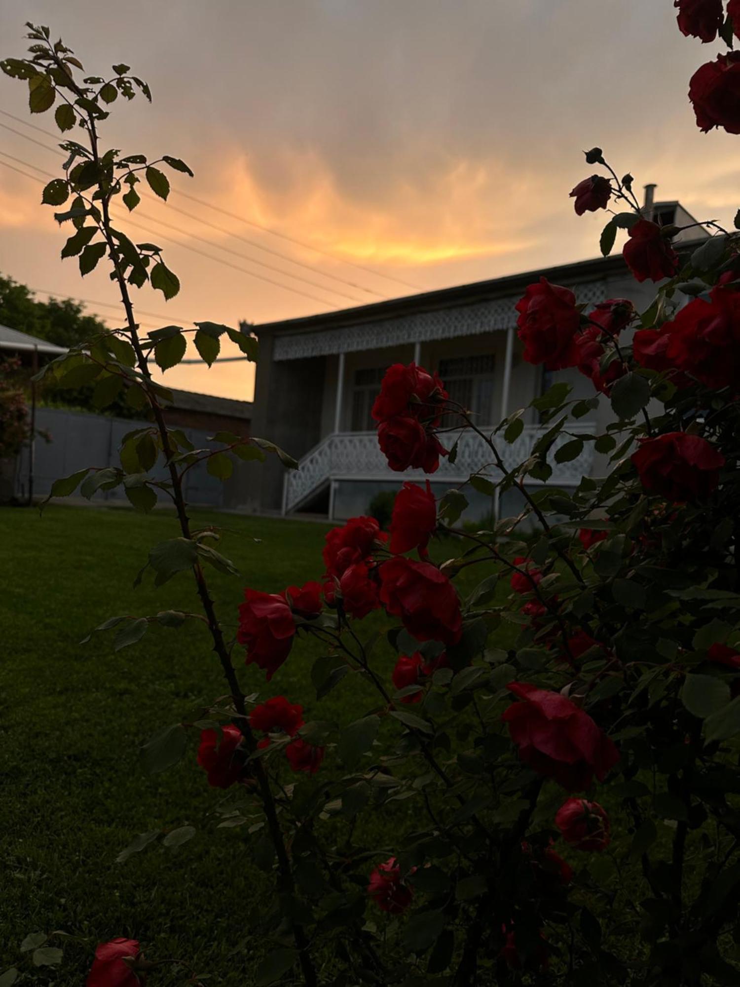 ,,Anna'S" Guesthouse K'vemo Alvani Esterno foto
